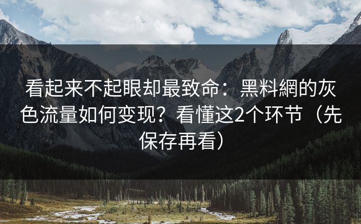 看起来不起眼却最致命：黑料網的灰色流量如何变现？看懂这2个环节（先保存再看）