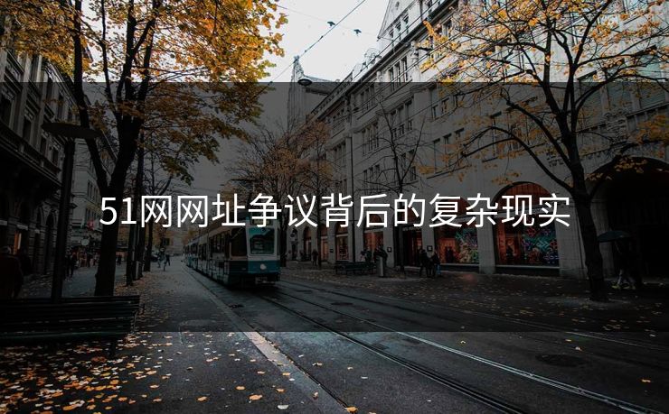 51网网址争议背后的复杂现实